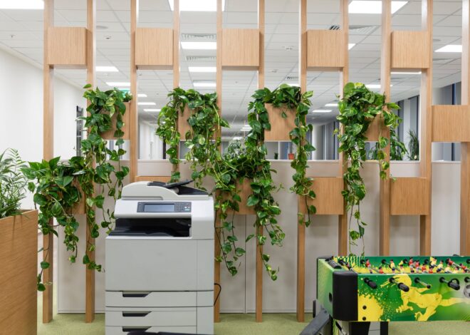 Las 3 plantas de interior que purifican el aire y casi no necesitan cuidados Las 3 plantas de interior que purifican el aire y casi no necesitan cuidados