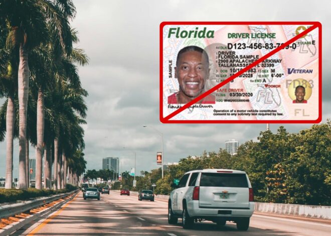En Florida: cómo saber si tengo suspendida la licencia de conducir En Florida: cómo saber si tengo suspendida la licencia de conducir