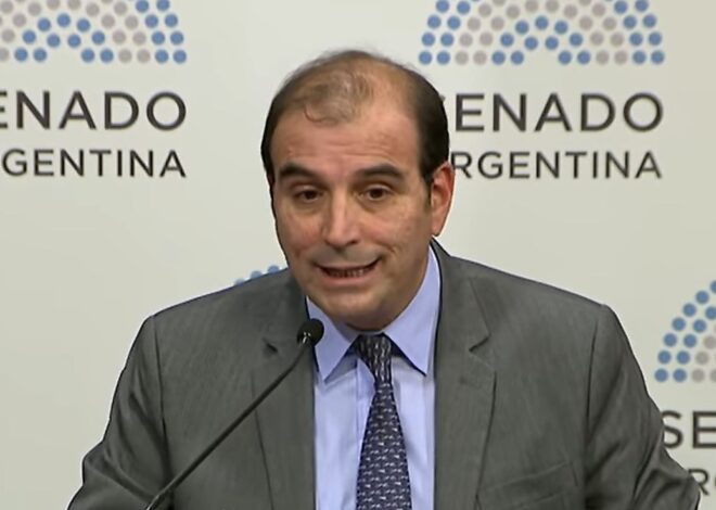 Manuel García-Mansilla envió una dura carta al Senado y denunció “tergiversaciones”