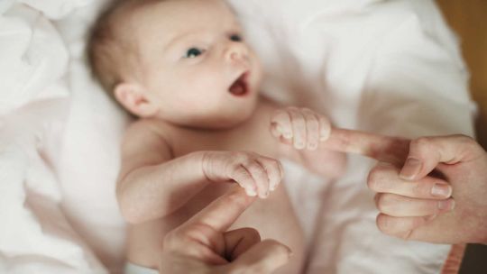 Detectaron 85 "donantes masivos" de semen en Países Bajos: miles de niños podrían tener más de 70 hermanos