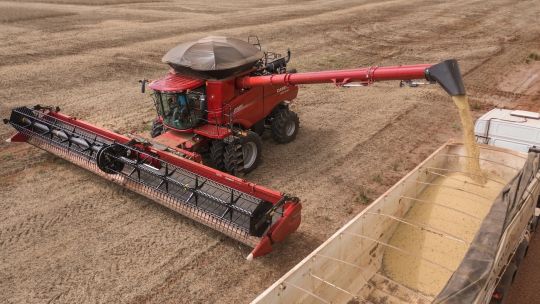 Con nuevo esquema de dólar, el campo acelera la cosecha de soja y se llenan de camiones los puertos