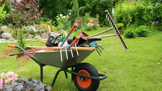Prepará tu jardín para el otoño: estas son las herramientas que no puede faltarte Prepará tu jardín para el otoño: estas son las herramientas que no puede faltarte