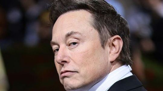 Elon Musk estaría creando una "legión de descendientes" secreta, según Wall Street Journal