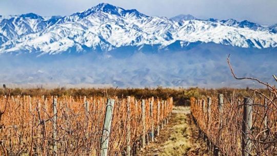 La mágica Mendoza bailó un poco con sus Andes: fuerte sismo de 5° Richter