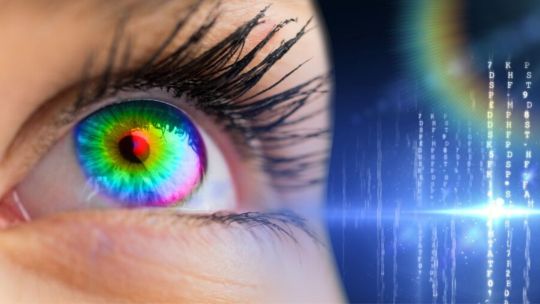 Descubrieron un nuevo color “increíblemente saturado”, pero pocos lo pueden ver: cómo es y por qué no todos lo perciben Descubrieron un nuevo color “increíblemente saturado”, pero pocos lo pueden ver: cómo es y por qué no todos lo perciben
