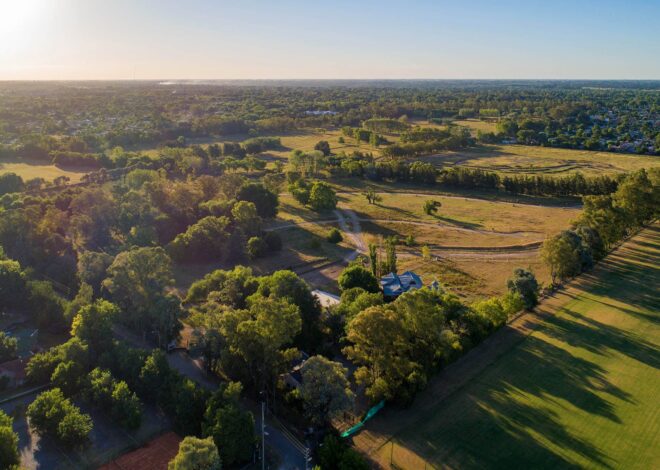 Subastarán tres terrenos de zona norte con precios desde los US$65.000 Subastarán tres terrenos de zona norte con precios desde los US$65.000