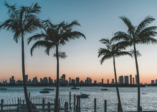 Ni inglés, ni español: este es el “nuevo lenguaje” que nació en Florida con la inmigración