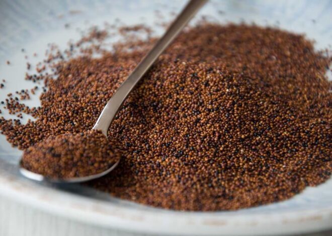 El cereal con poder nutritivo que potencia la memoria y frena el envejecimiento