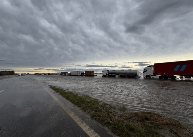 Productores de la zona más rica del país reportan pérdidas millonarias por el temporal que pone en riesgo la cosecha récord que se esperaba Productores de la zona más rica del país reportan pérdidas millonarias por el temporal que pone en riesgo la cosecha récord que se esperaba