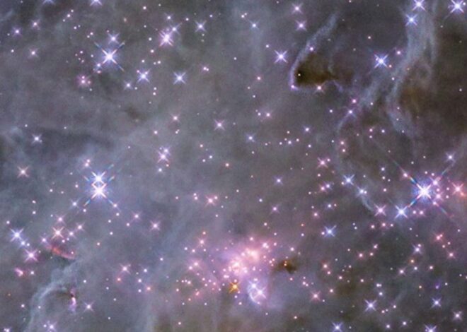 Científicos revelaron cuándo será la fecha de muerte del universo