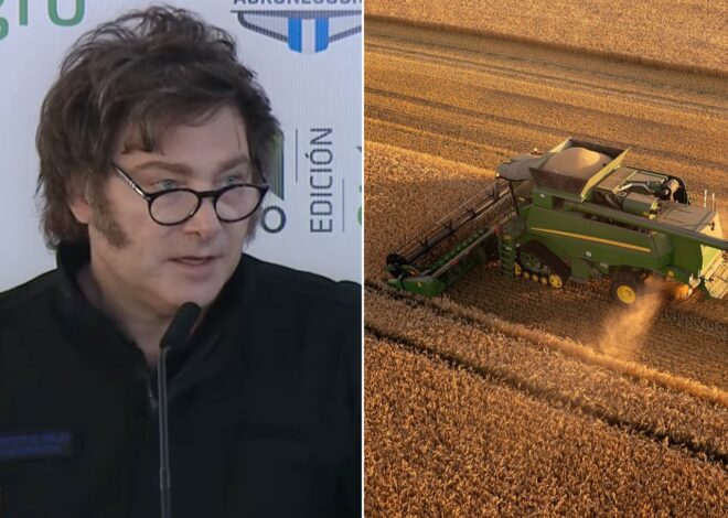 ¿Sembrar más? Los productores le responden al Gobierno qué harán tras la continuidad de la baja de las retenciones en trigo y en cebada