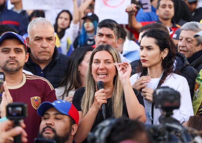Silvia Lospennato acusó a Milei de mentir y lo responsabilizó por la caída de ficha limpia Silvia Lospennato acusó a Milei de mentir y lo responsabilizó por la caída de ficha limpia
