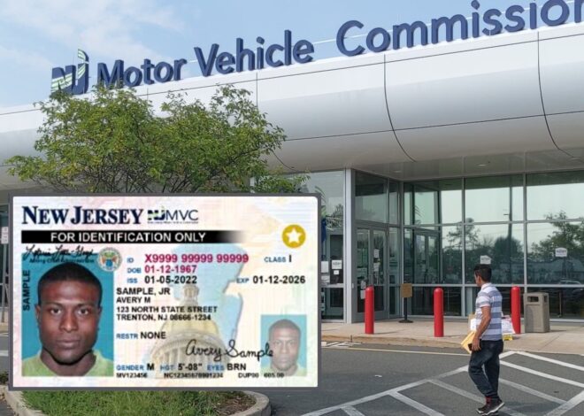 Real ID en Nueva Jersey: qué pasa si no se tramita antes del 7 de mayo y cómo aplica para inmigrantes Real ID en Nueva Jersey: qué pasa si no se tramita antes del 7 de mayo y cómo aplica para inmigrantes
