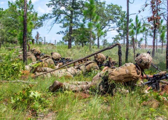Adiós, Virginia: los nuevos oficiales del Ejército de EE.UU. que llegan a Texas y por qué