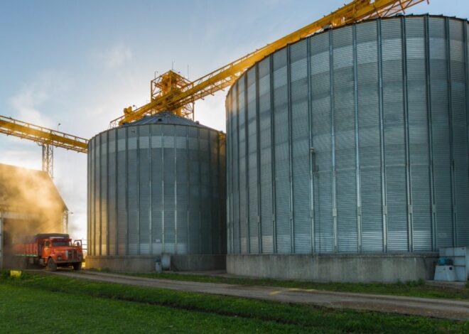Gigante concursado: Los Grobo Agropecuaria acelera una alianza de “novios” con un grupo brasileño y busca generar US$150 millones