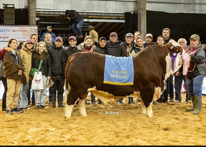 Emprendedores: irrumpieron por primera vez en una competencia de alto nivel y dieron el golpe con un toro