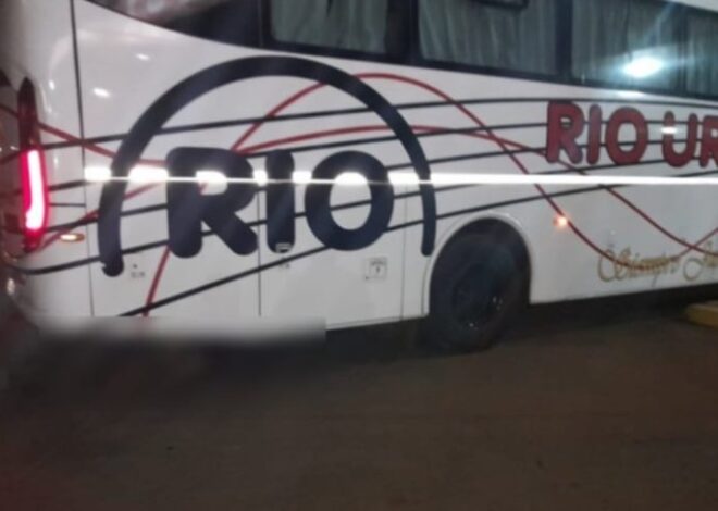 Macabro hallazgo en Corrientes: colectivo llegó a una terminal con un cuerpo humano colgado debajo del chasis Macabro hallazgo en Corrientes: colectivo llegó a una terminal con un cuerpo humano colgado debajo del chasis