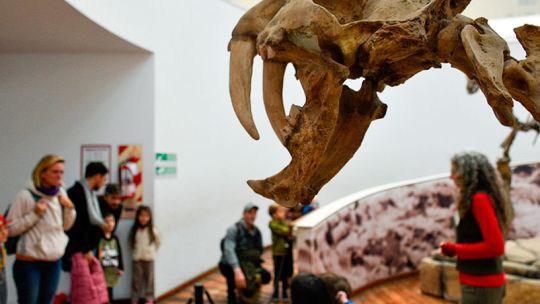 Arte y entretenimiento con entrada libre: las actividades imperdibles de la semana en Córdoba
