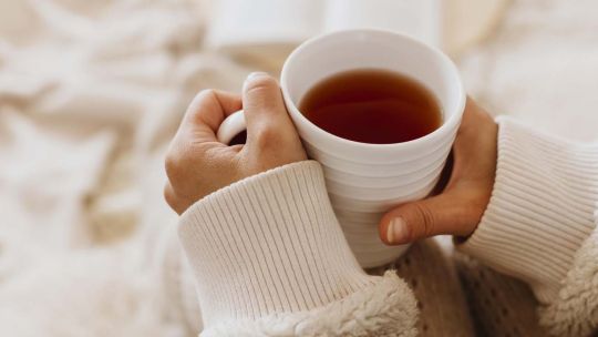 Día del Té: por qué esta infusión milenaria impulsa nuestro bienestar Día del Té: por qué esta infusión milenaria impulsa nuestro bienestar