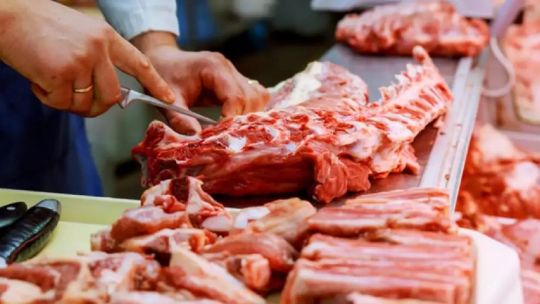Desde la Cámara Argentina de Matarifes y Abastecedores aseguran que, “falta ganado en Argentina” Desde la Cámara Argentina de Matarifes y Abastecedores aseguran que, “falta ganado en Argentina”