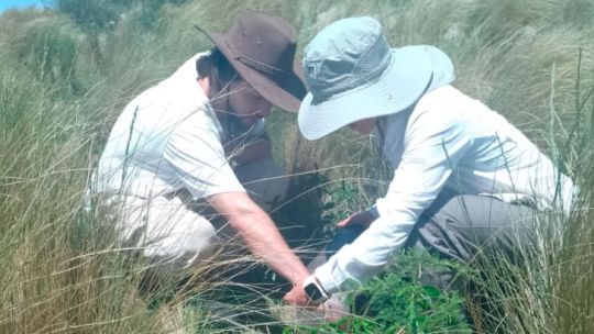 Científicos de UNC-Conicet revelan el impacto humano en la biodiversidad vegetal a nivel global Científicos de UNC-Conicet revelan el impacto humano en la biodiversidad vegetal a nivel global
