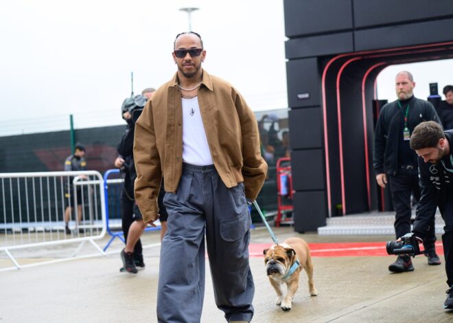 Hamilton actualiza la salud de Roscoe tras su reciente batalla contra la neumonía