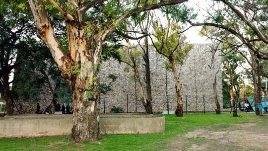Un amparo frenó provisoriamente la demolición de la Palestra de escalada de Buenos Aires