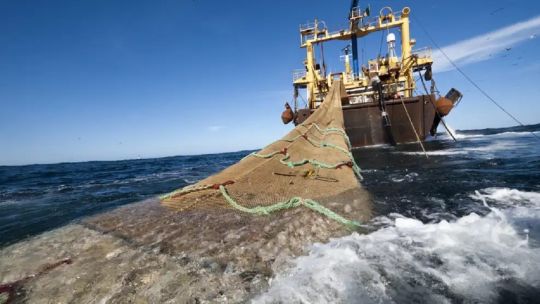 Alerta dólares: la crisis de la industria pesquera pone en jaque exportaciones por US$ 2.000 millones Alerta dólares: la crisis de la industria pesquera pone en jaque exportaciones por US$ 2.000 millones