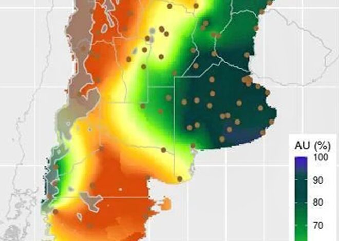 Fuerte impacto: se achicó en 100.000 hectáreas la siembra de un cultivo que aporta más de US$3000 millones Fuerte impacto: se achicó en 100.000 hectáreas la siembra de un cultivo que aporta más de US$3000 millones