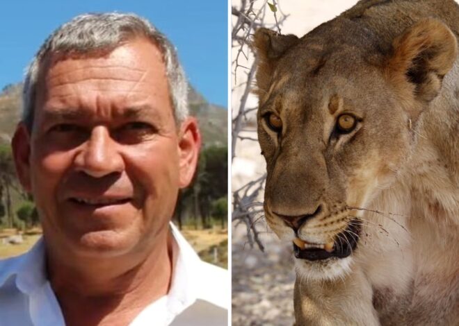 Namibia: un empresario alemán murió tras ser atacado por una leona durante un safari de lujo Namibia: un empresario alemán murió tras ser atacado por una leona durante un safari de lujo