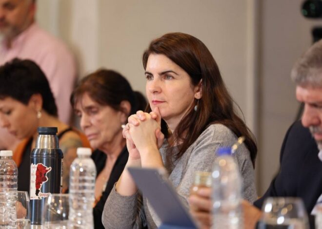 Mariel Fernández: "Esto es una persecución al peronismo"