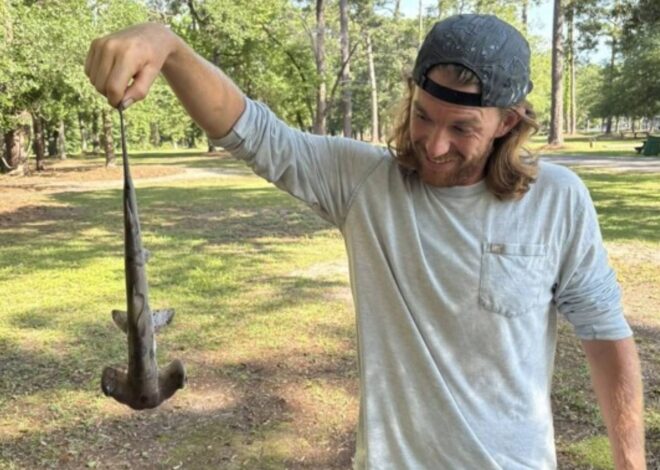 Jugaban golf en Carolina del Sur y lo que cayó del cielo los dejó perplejos: era un tiburón