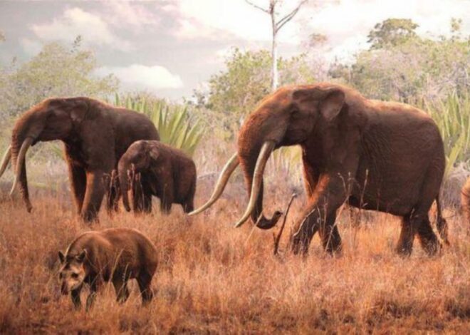 La extinción de los mastodontes aún pone en riesgo la flora nativa de Sudamérica La extinción de los mastodontes aún pone en riesgo la flora nativa de Sudamérica