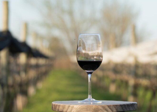 ¿Qué significa que un vino es DOC?