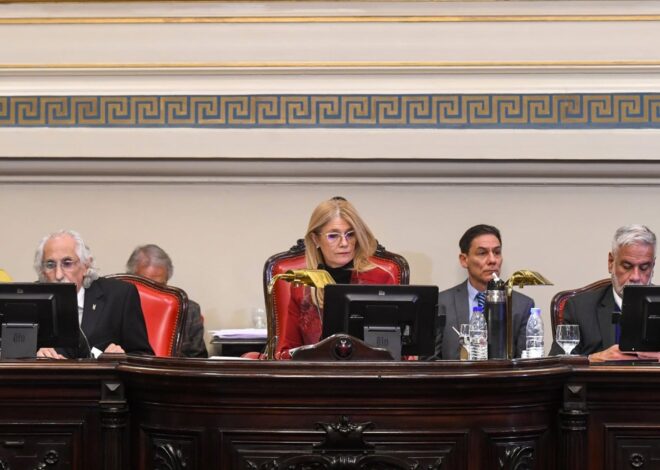 Con un desempate de Magario, el Senado bonaerense aprobó la reelección indefinida de los legisladores provinciales Con un desempate de Magario, el Senado bonaerense aprobó la reelección indefinida de los legisladores provinciales