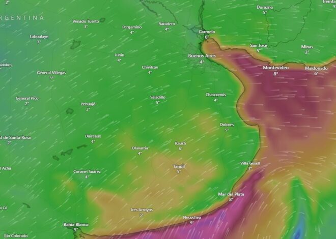 Ola de frío polar: nevó en la provincia de Buenos Aires Ola de frío polar: nevó en la provincia de Buenos Aires