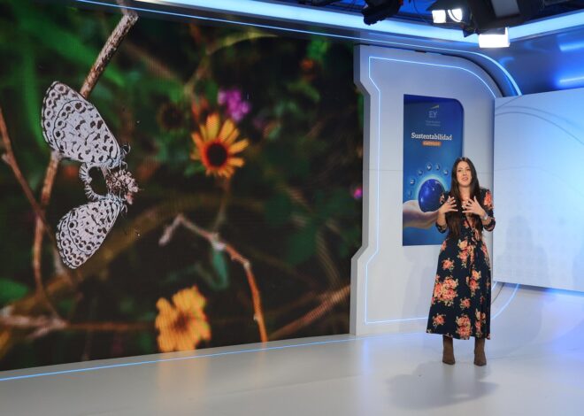 Cómo las plantas nativas pueden devolver la biodiversidad a las ciudades y atraer mariposas Cómo las plantas nativas pueden devolver la biodiversidad a las ciudades y atraer mariposas