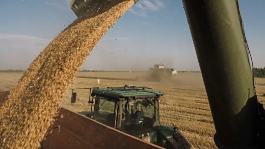 Regreso de las retenciones: “Un rendimiento bajo podría llegar a poner al productor en quebranto”