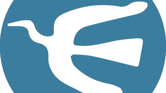 Vida y biografía