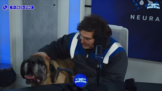 Javier Milei y Conan, el perro “resucitado”, protagonizaron un streaming solidario con una inesperada donación millonaria
