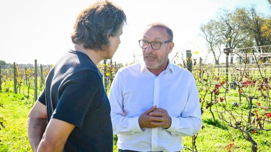 "Vino Buenos Aires": el documental que celebra la vitivinicultura bonaerense ya se emite por Telefe "Vino Buenos Aires": el documental que celebra la vitivinicultura bonaerense ya se emite por Telefe