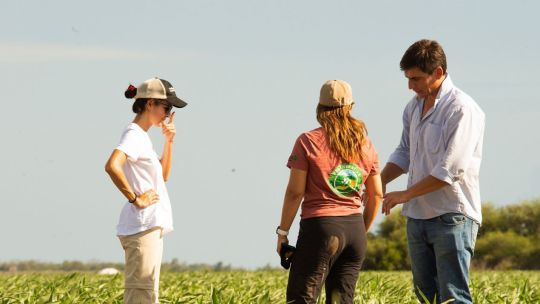 Alianza argentina para una producción sostenible en el Gran Chaco: Sumatoria se une a IFACC
