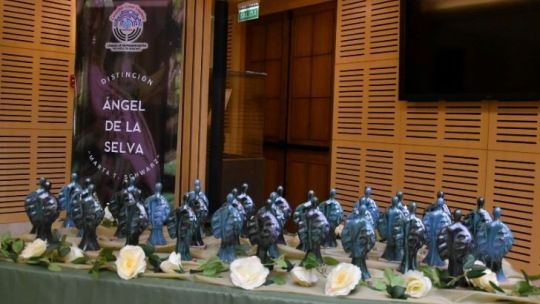 Misiones: 33 mujeres fueron distinguidas con el premio "El Ángel de la selva" Misiones: 33 mujeres fueron distinguidas con el premio "El Ángel de la selva"