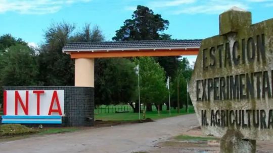 Ajuste en el INTA: con los cambios propuestos se perdería conceptos exitosos como la autarquía o la investigación por regiones Ajuste en el INTA: con los cambios propuestos se perdería conceptos exitosos como la autarquía o la investigación por regiones