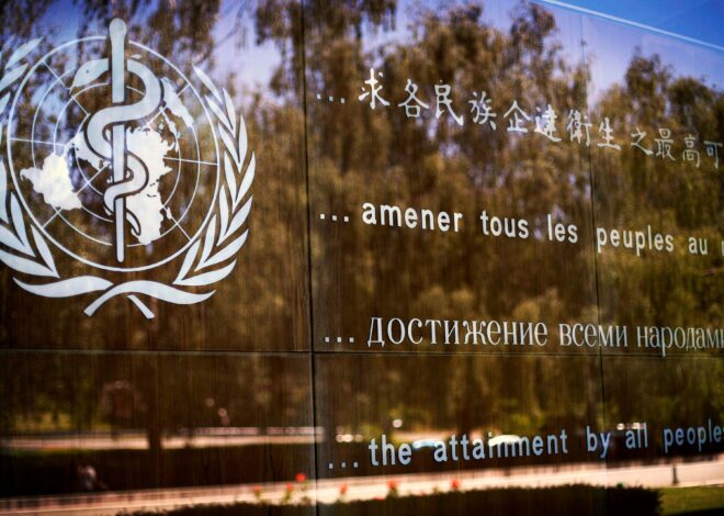 La OMS destaca el potencial transformador de la IA para la medicina tradicional La OMS destaca el potencial transformador de la IA para la medicina tradicional