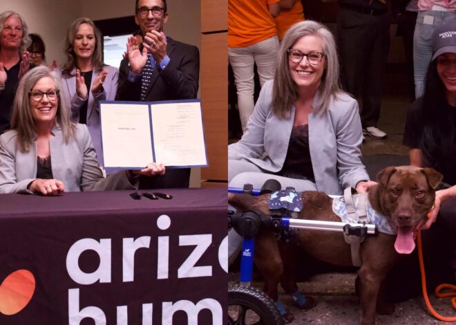 La firmó Katie Hobbs: la nueva ley que protege a los animales en Arizona con multas de hasta US$2500 La firmó Katie Hobbs: la nueva ley que protege a los animales en Arizona con multas de hasta US$2500