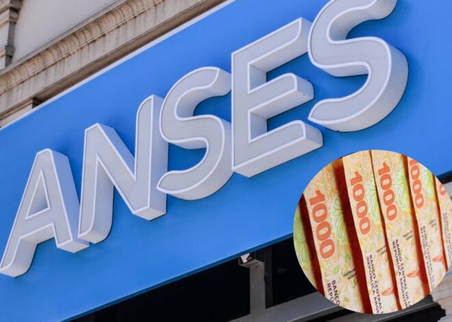 Calendario de la Anses: todas las prestaciones sociales que se pagan este martes 15 de julio Calendario de la Anses: todas las prestaciones sociales que se pagan este martes 15 de julio