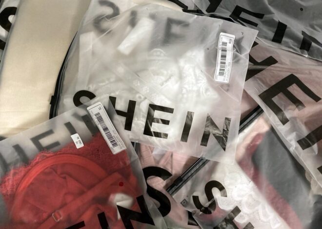 ¿De dónde es Shein, el sitio para hacer compras online?