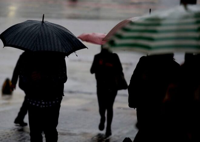 Alerta SMN: tormentas, vientos y lluvias intensas para el miércoles 16 de julio Alerta SMN: tormentas, vientos y lluvias intensas para el miércoles 16 de julio