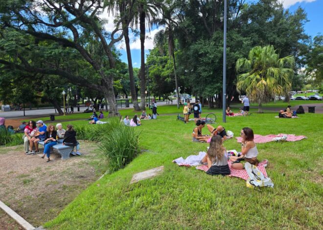 Cómo armar un pícnic de invierno Cómo armar un pícnic de invierno